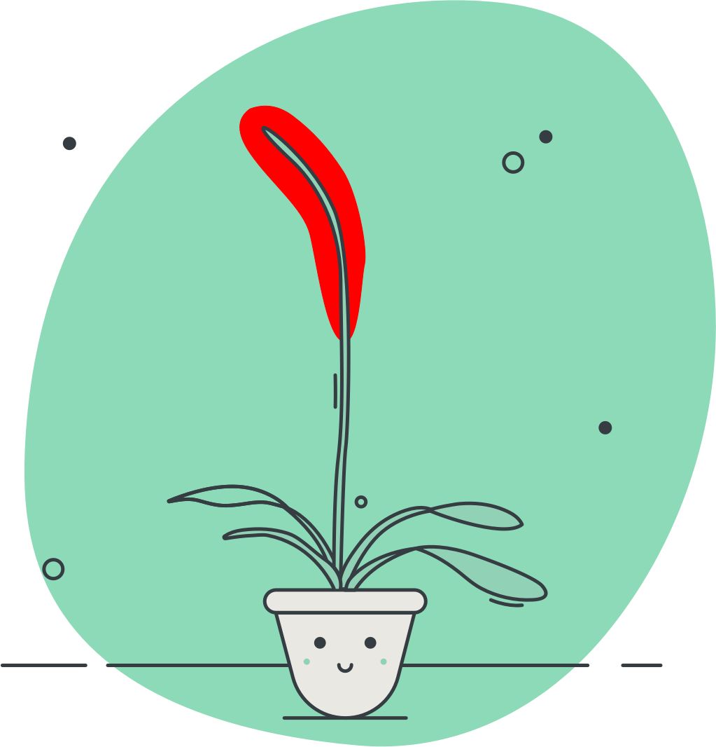 Iteration of highlighting parts of the illustration